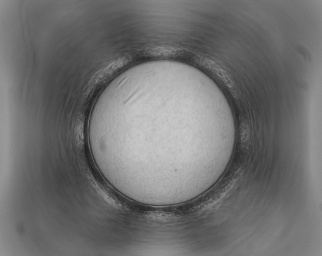 X0000112920633200909141313