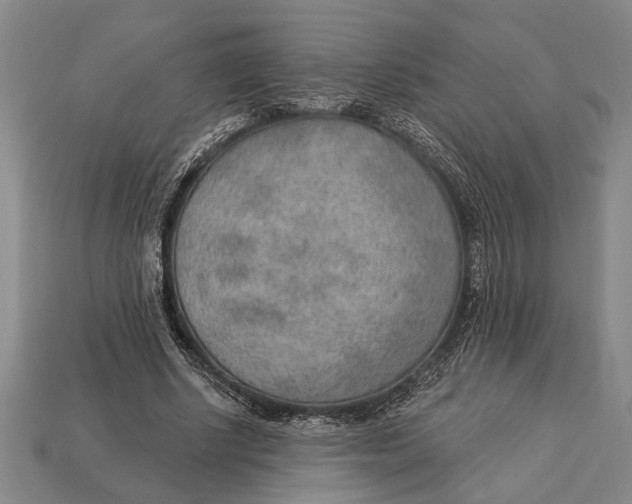 X0000112920634200909141313