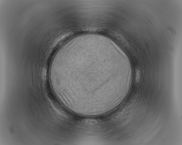 X0000112920636200909141313
