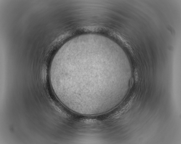 X0000112920637200909141313