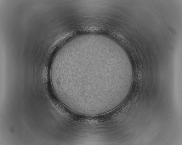 X0000112920640200909141313