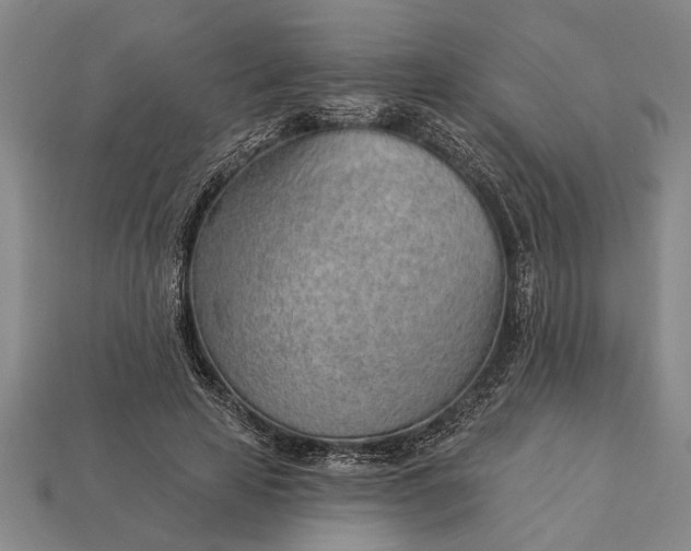 X0000112920641200909141313