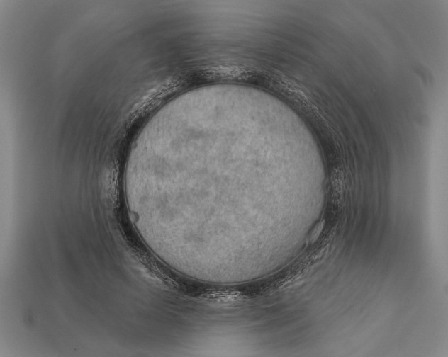 X0000112920642200909141313
