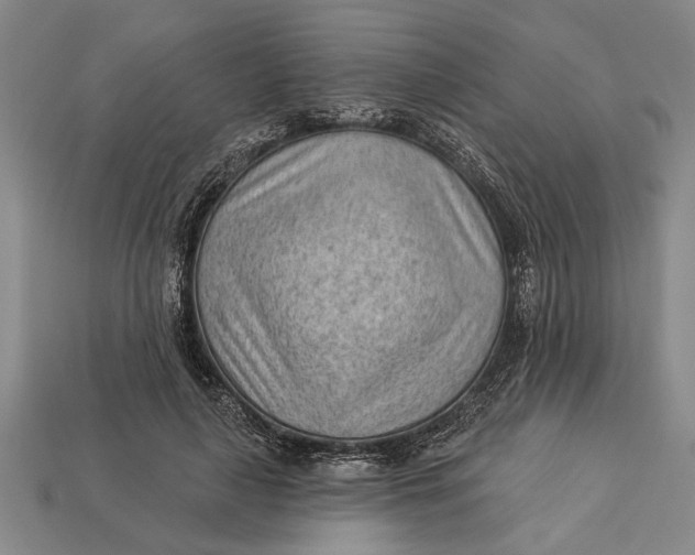 X0000112920643200909141313