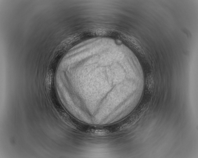 X0000112920645200909141313