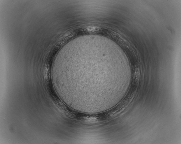 X0000112920651200909141313