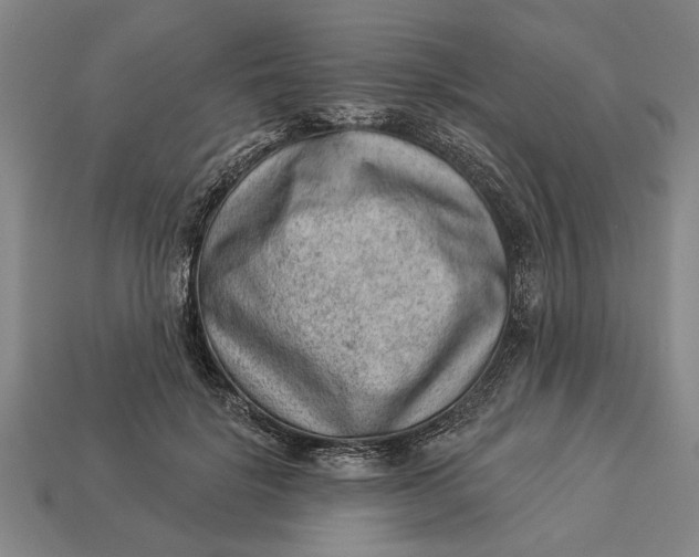 X0000112920652200909141313