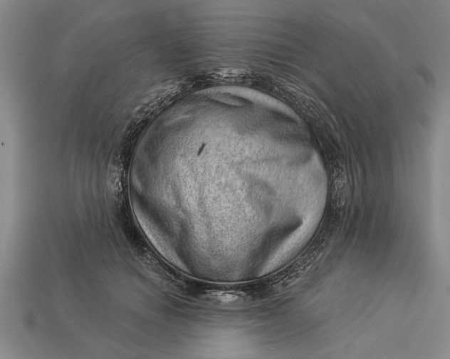 X0000112920654200909141313