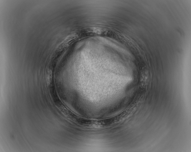 X0000112920656200909141313