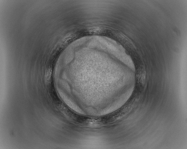 X0000112920660200909141313