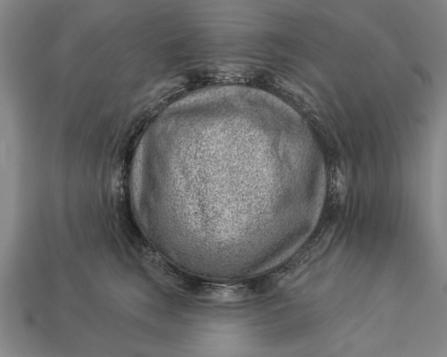 X0000112920663200909141314