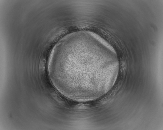 X0000112920664200909141314