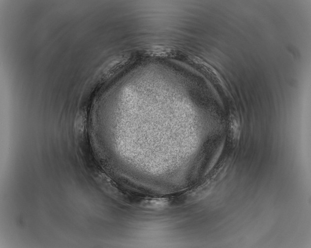 X0000112920665200909141314