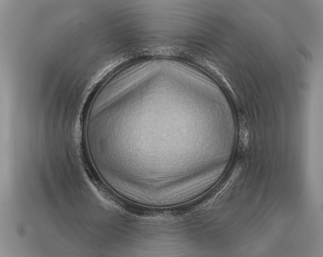 X0000112920674200909141313