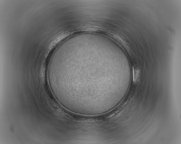 X0000112920675200909141313