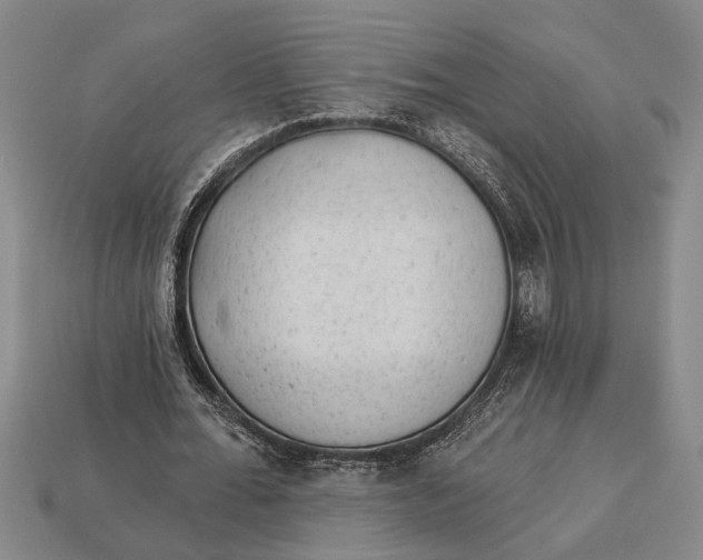 X0000112920676200909141313