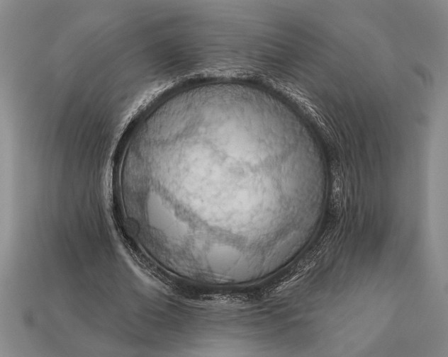 X0000112920678200909141313