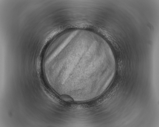 X0000112920679200909141313