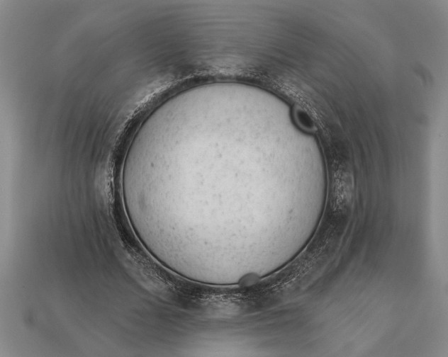 X0000112920680200909141313