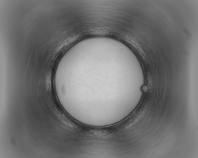 X0000112920681200909141313