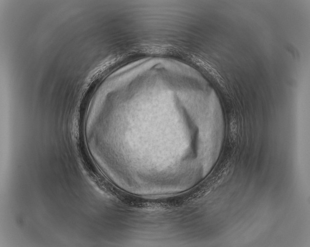 X0000112920682200909141313