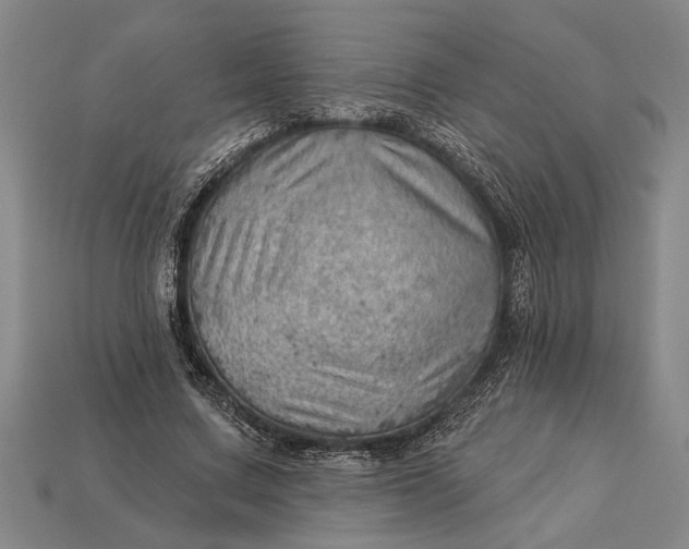 X0000112920683200909141313
