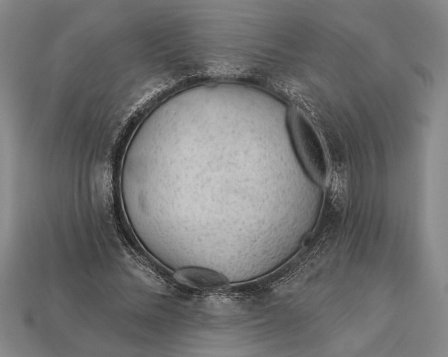 X0000112920684200909141313