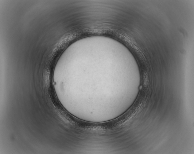 X0000112920685200909141313