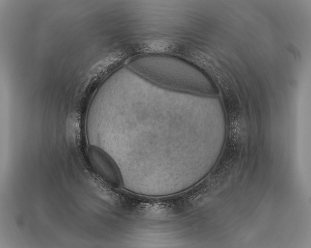 X0000112920688200909141313