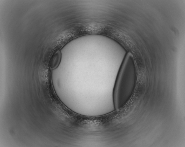X0000112920689200909141313