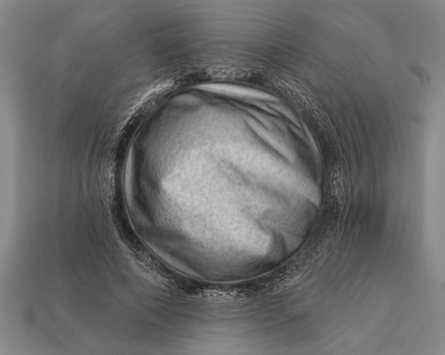 X0000112920690200909141313