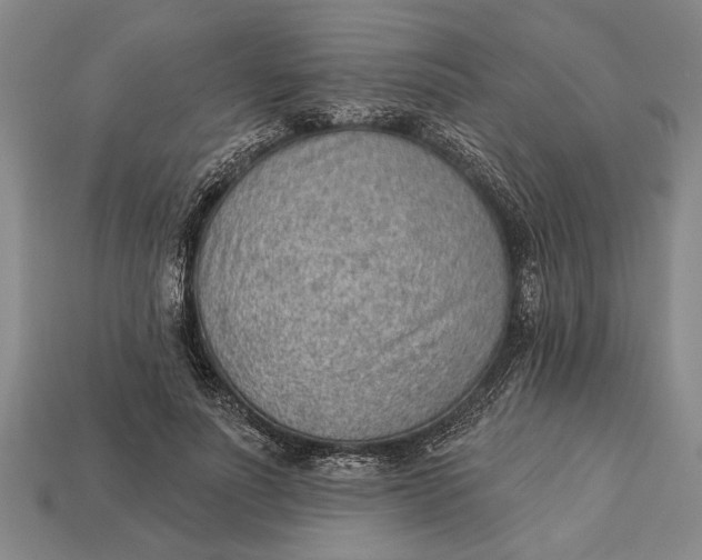 X0000112920691200909141313