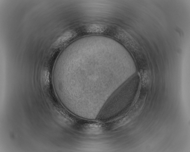 X0000112920692200909141313