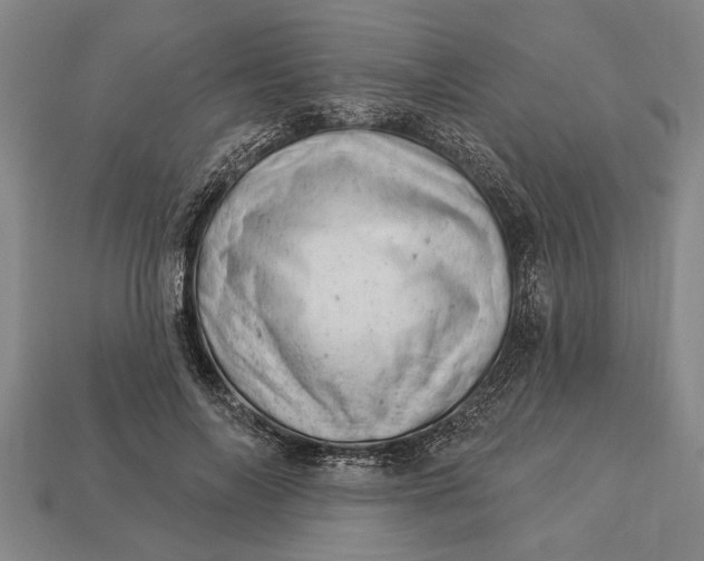 X0000112920694200909141313