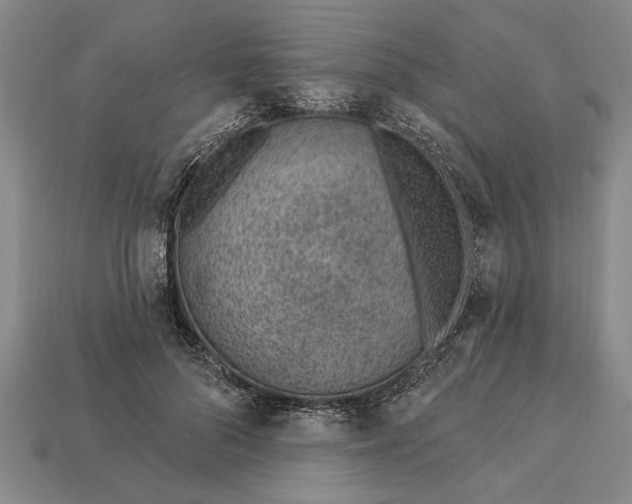 X0000112920696200909141313