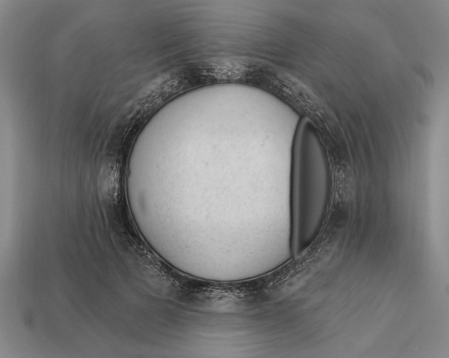 X0000112920697200909141313