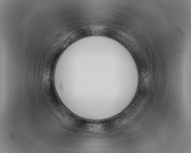 X0000112920698200909141313
