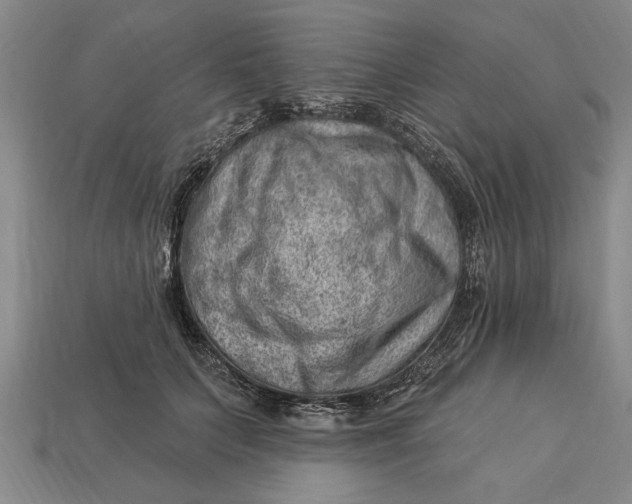 X0000112920703200909141313