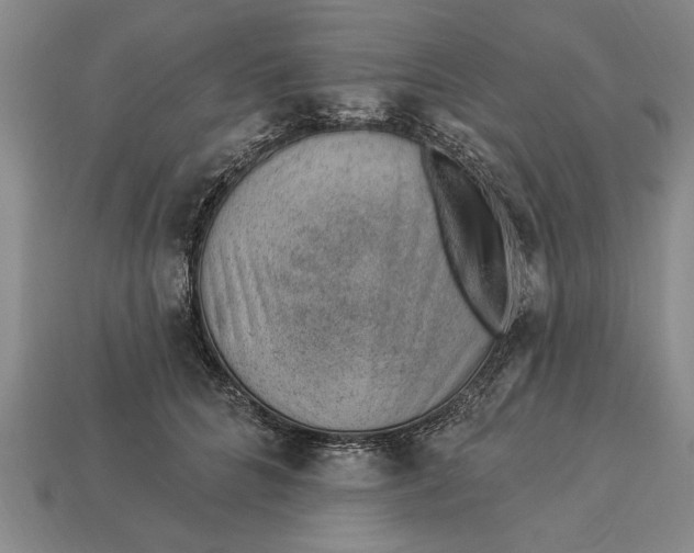 X0000112920704200909141313
