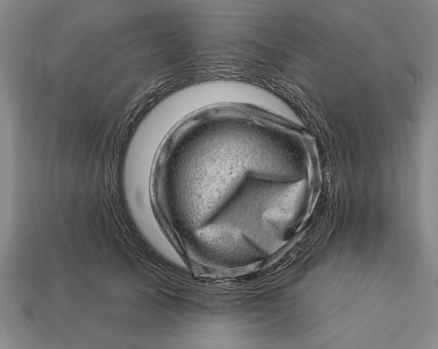 X0000112920705200909141313