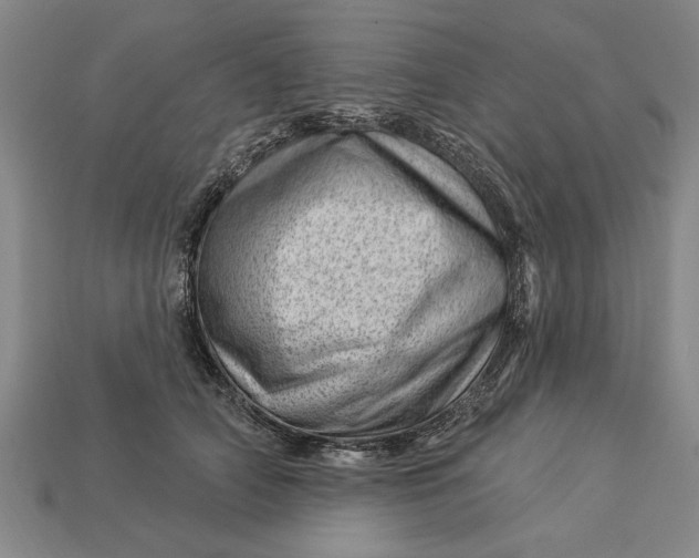 X0000112920706200909141313