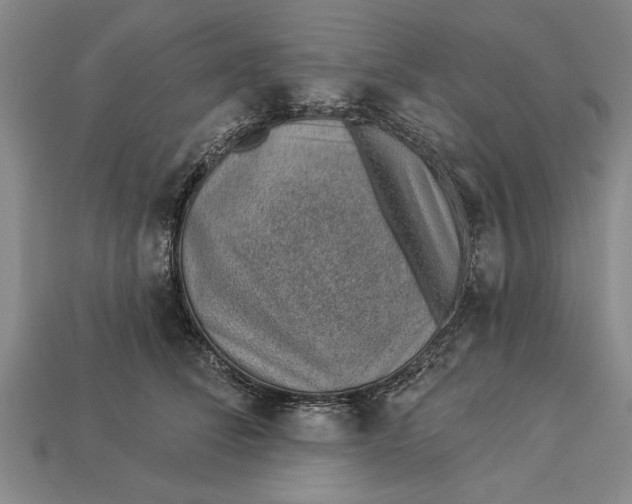 X0000112920708200909141313