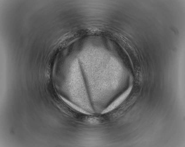 X0000112920710200909141313