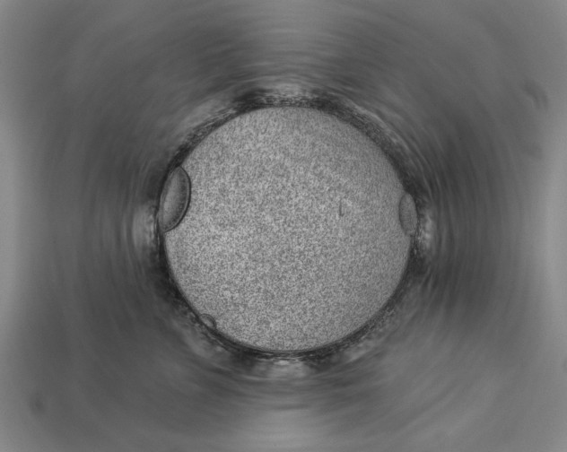 X0000112920715200909141312