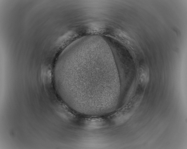X0000112920716200909141312