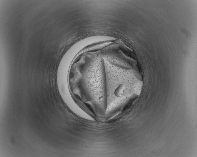 X0000112920720200909141312