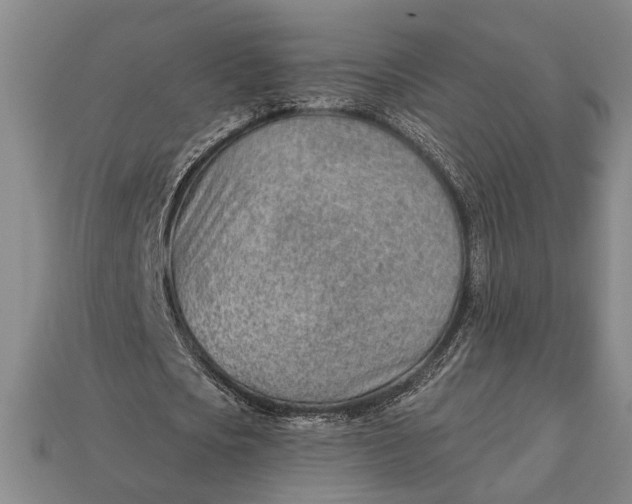 X0000112920721200909141312
