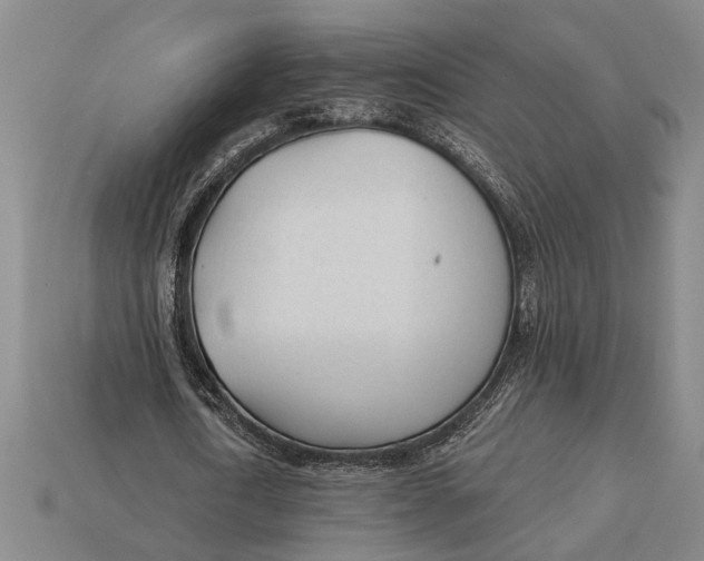X0000112920722200909141312