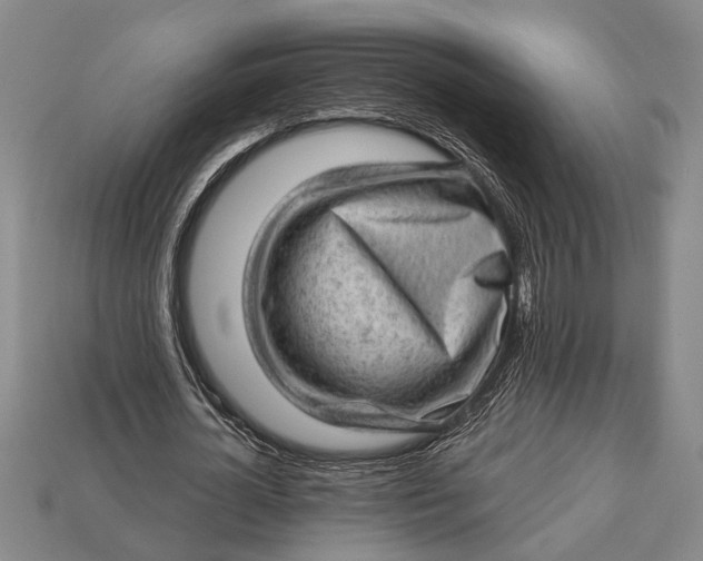 X0000112920724200909141312