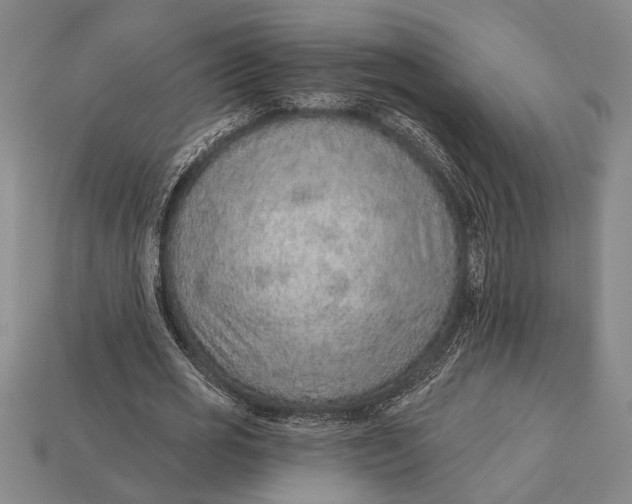 X0000112920725200909141312